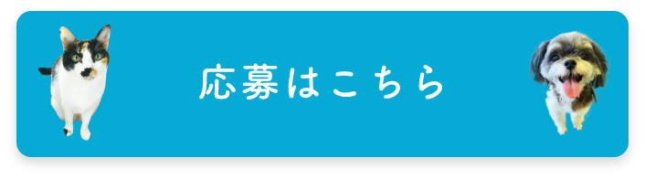 上手な撮影方法 ご長寿ペット フォトコンテスト21 第14回