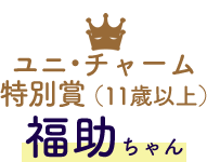 ユニ・チャーム特別賞 （11歳以上） 福助ちゃん