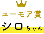 プリティ賞  シロちゃん