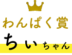 スヤスヤ賞 ちぃちゃんちゃん