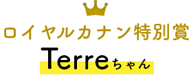 ロイヤルカナン特別賞 Terreちゃん