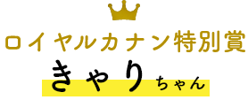 ロイヤルカナン特別賞 きゃりちゃん