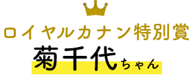 ロイヤルカナン特別賞  菊千代ちゃん