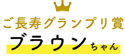 ご長寿グランプリ賞 ブラウンちゃん