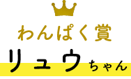 わんぱく賞 リュウちゃん