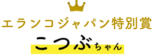 エランコジャパン特別賞 こつぶちゃん