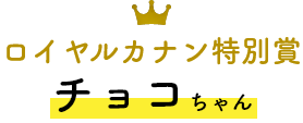 ロイヤルカナン特別賞 チョコちゃん