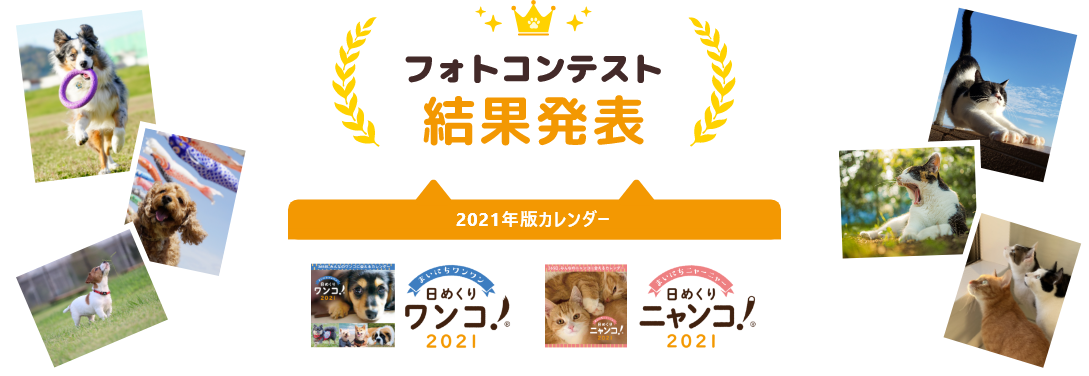 日めくりワンコ 日めくりニャンコ 愛犬家 愛猫家のための日めくりカレンダー