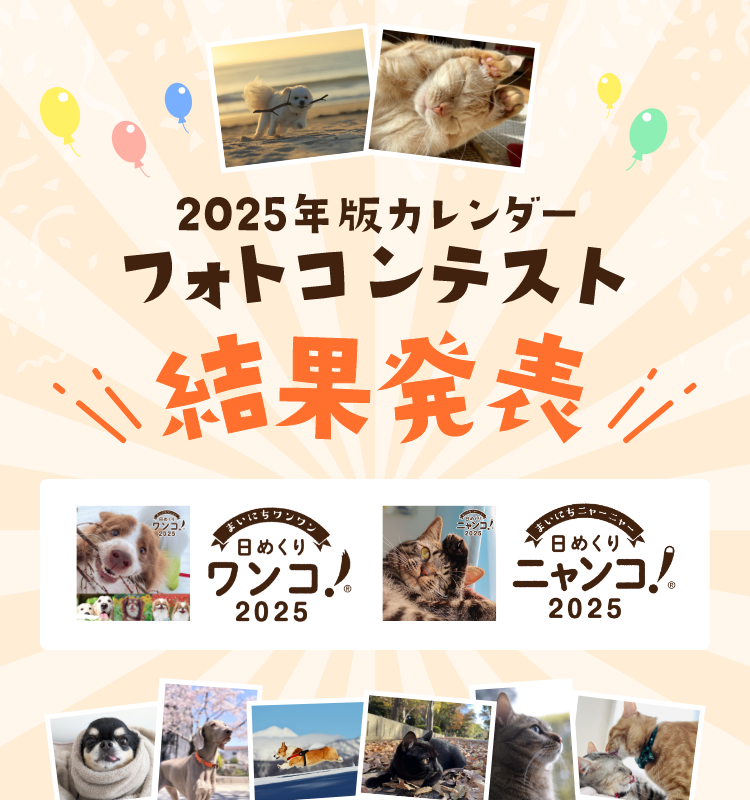 2025年版日めくりカレンダーフォト募集